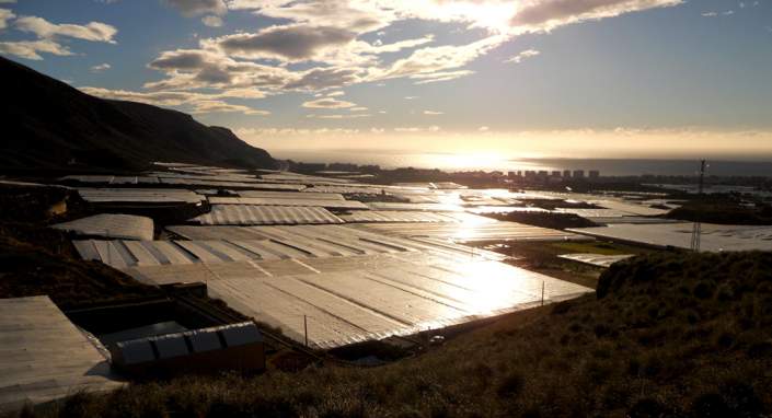 Solargewächshäuser_gekalkte Dächer